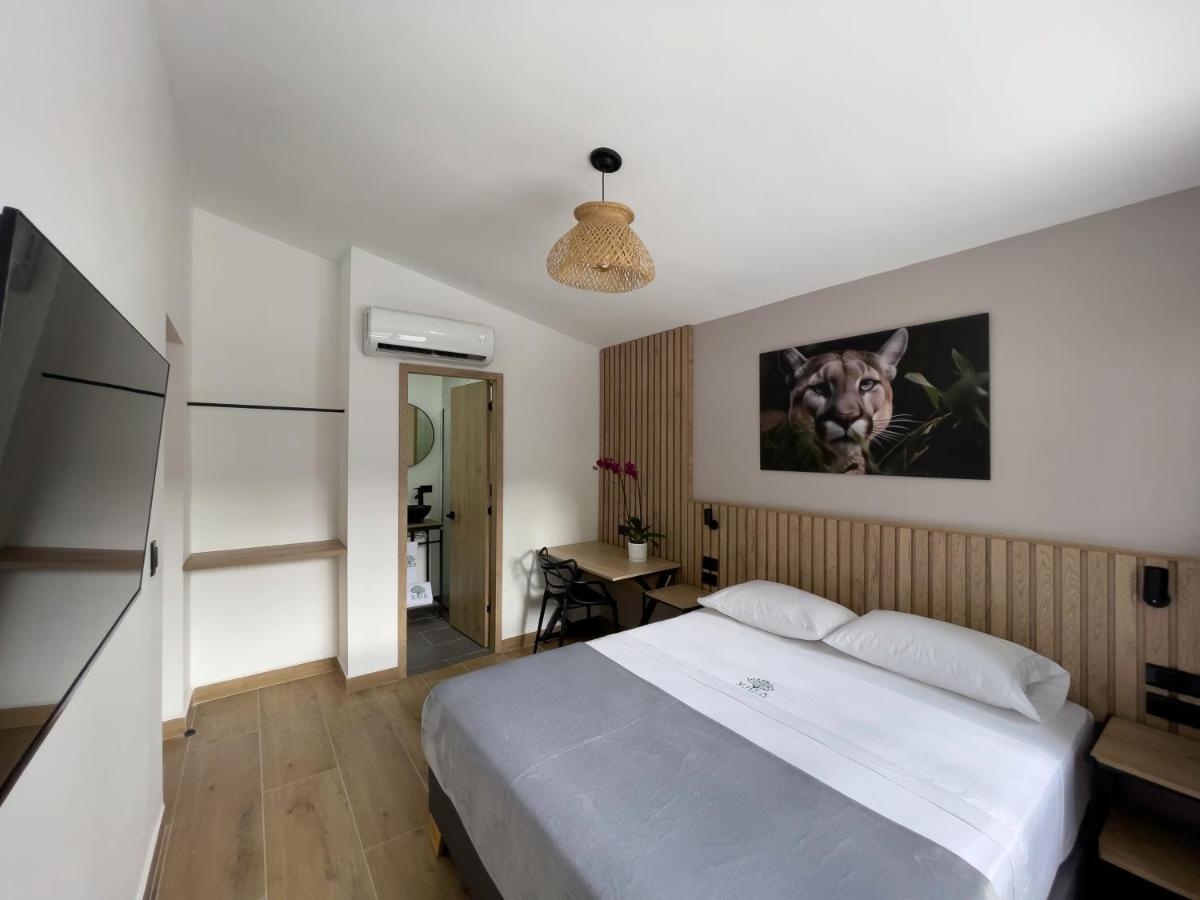 Vita Hotel Boutique Medellín Eksteriør billede
