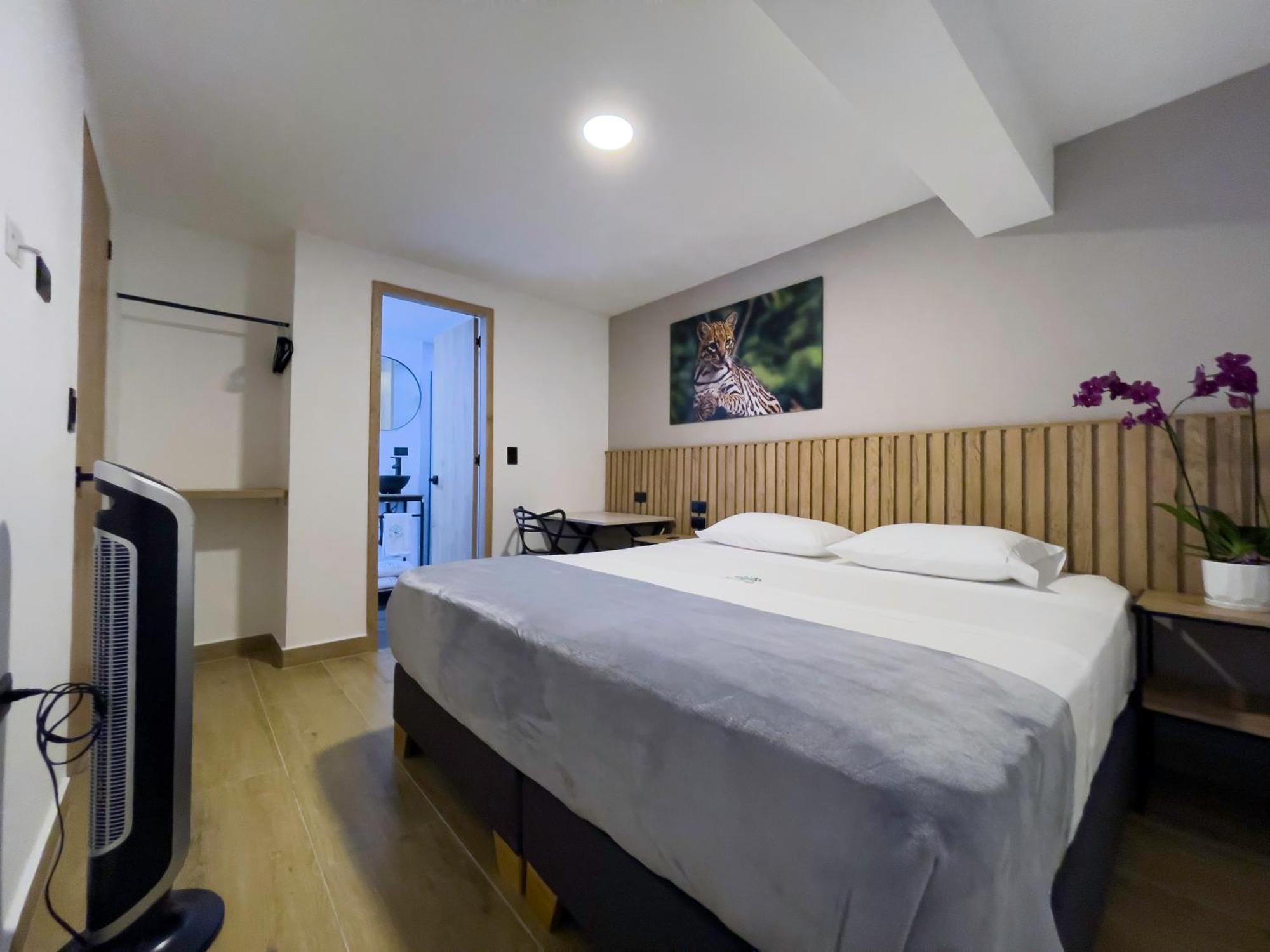 Vita Hotel Boutique Medellín Eksteriør billede