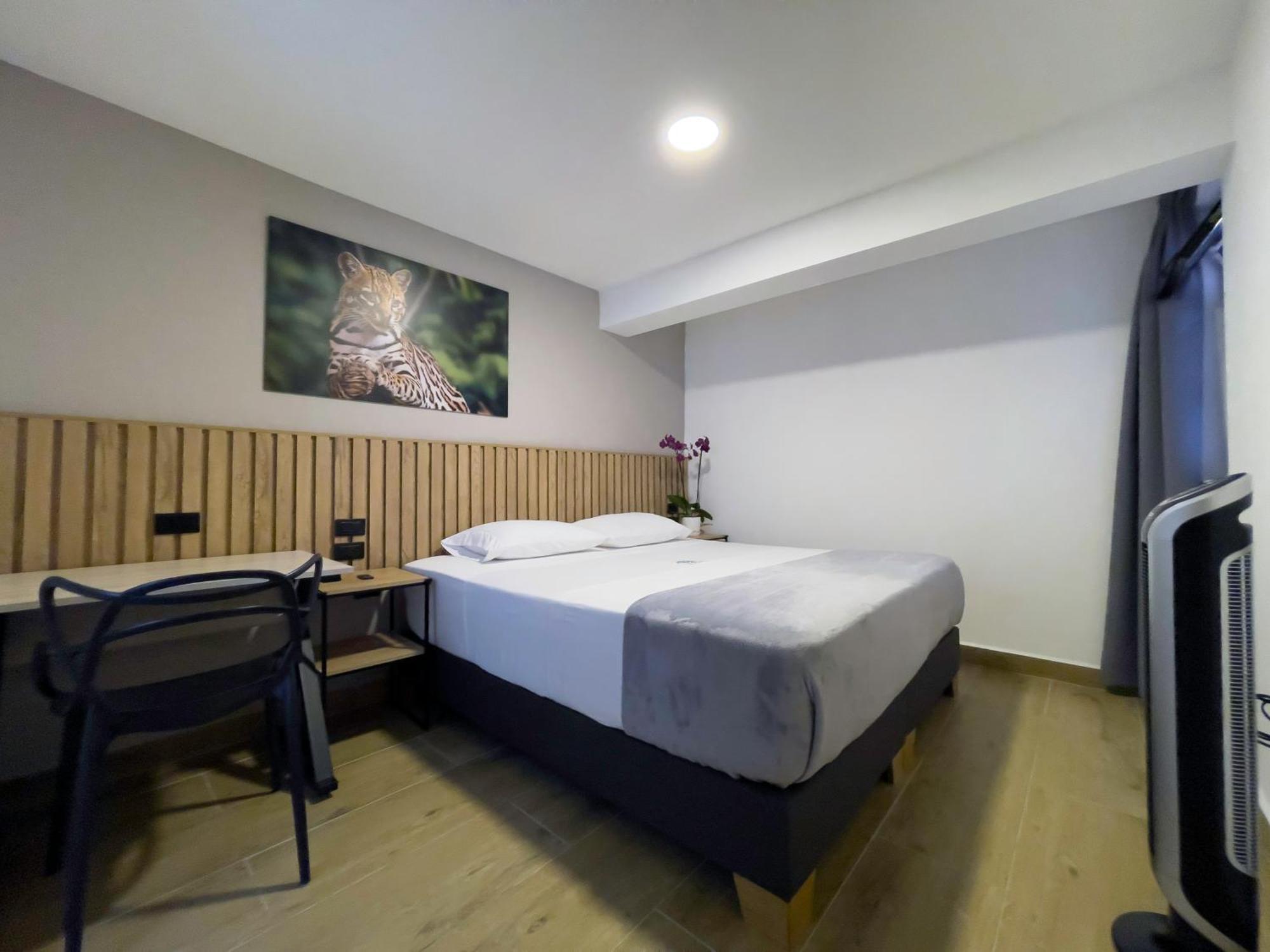Vita Hotel Boutique Medellín Eksteriør billede